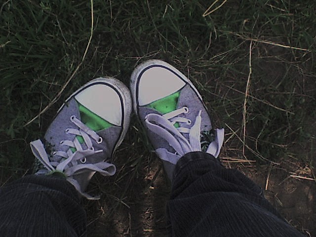 Wpis dangle