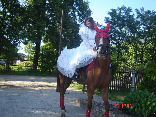 Zacieszny zm