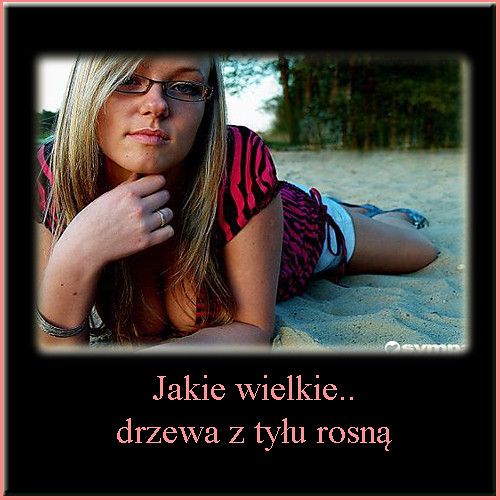 Wielkie drzewa