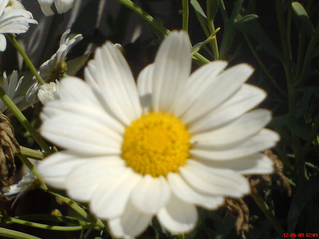Wpis martusia444