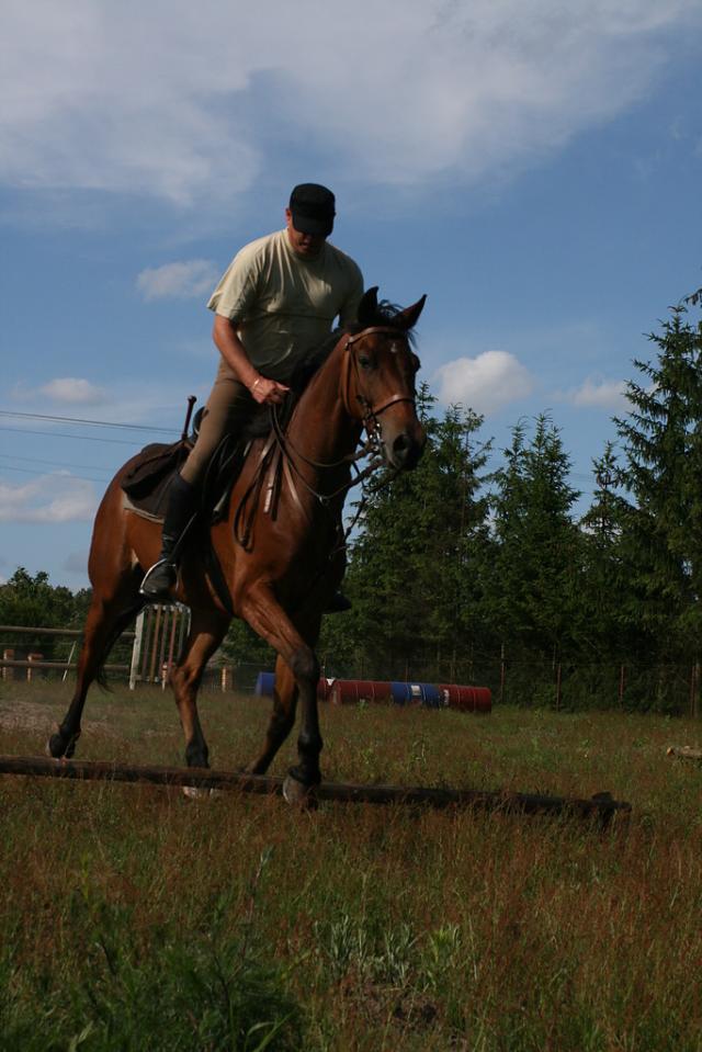 Wpis zloty34