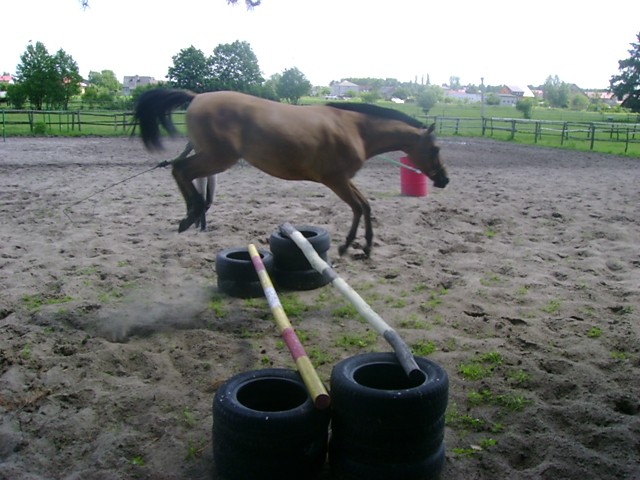 Dyskrecja :*