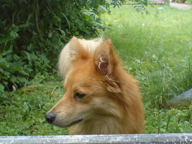 Wpis xxxlola
