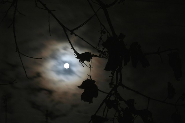 Night after night