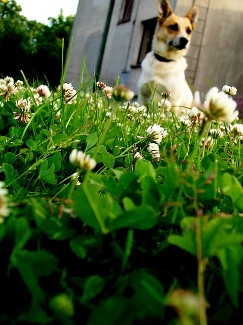 Oskar.