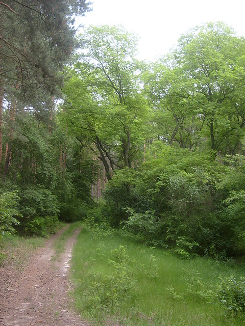 Zotkowo