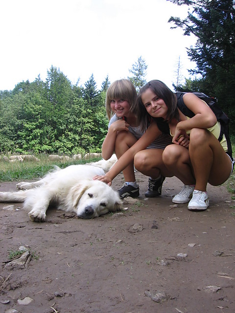 wakacje :D 