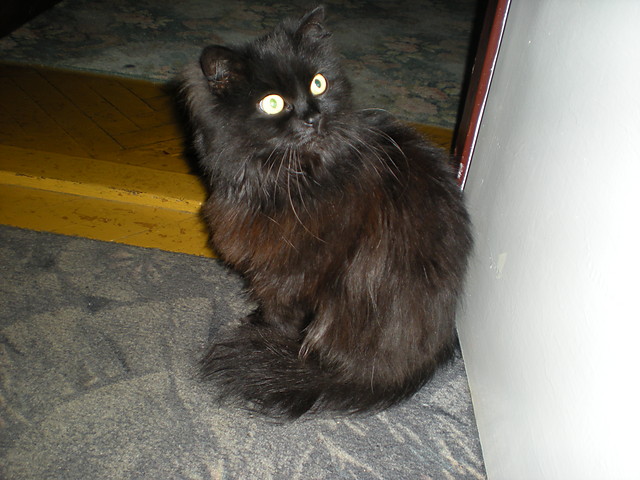 Wpis ilona18
