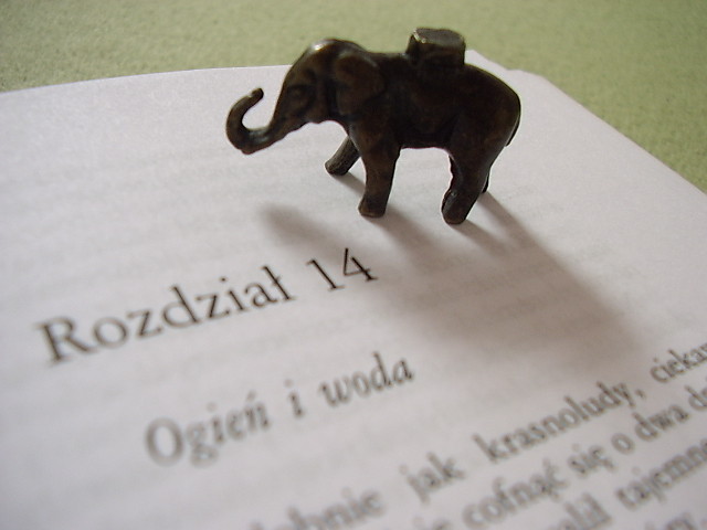 Ogie i woda.