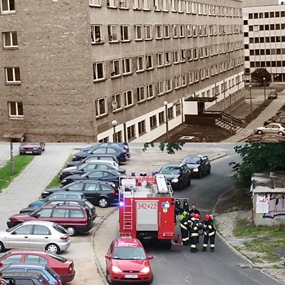 Wpis drzeffko