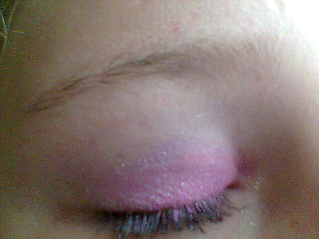 My Eyes `Rowo - fioletowy maki