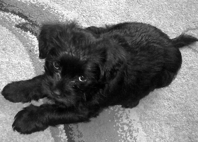 MOJA MALUTKA SUZy:*