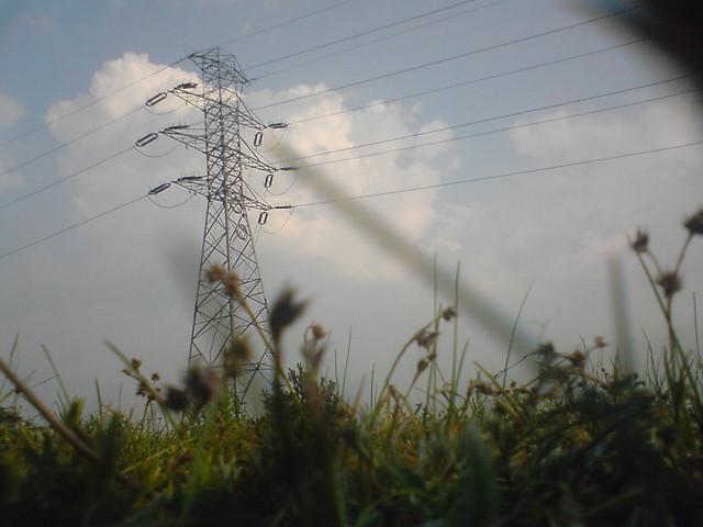 T.