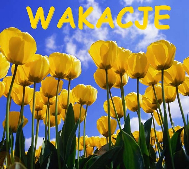 Wakacje 