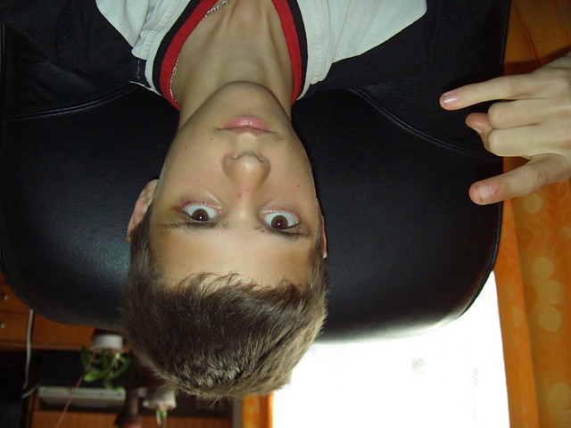 Wpis lesios12
