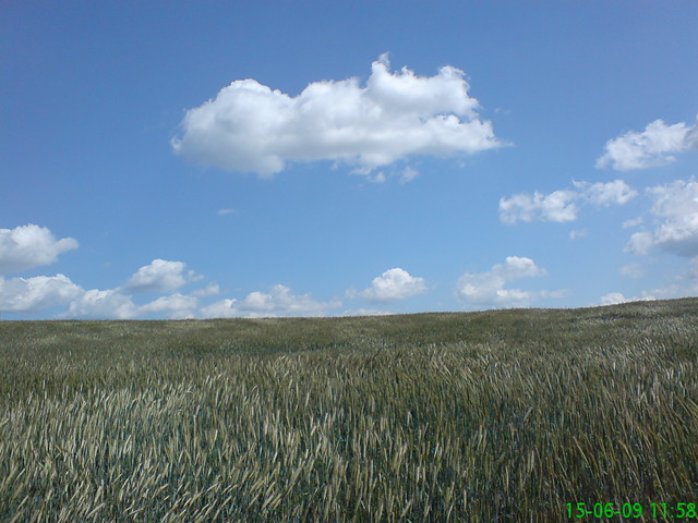Niebiasko 