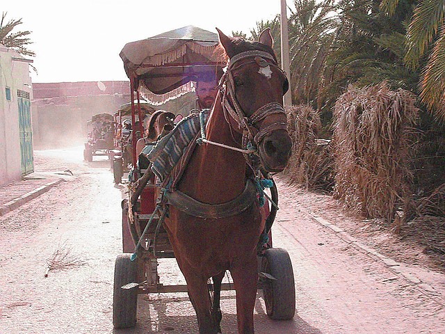 Tunezja '05