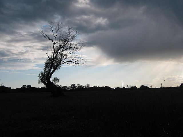 12.06.2009 . foto2
