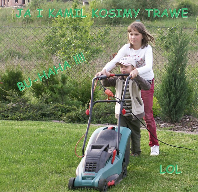 KOSI KOSI TRAWA