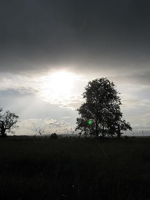 12.06.2009 . foto3