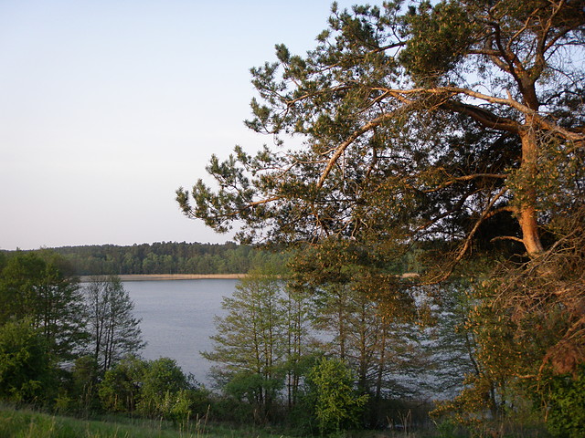 Widoczek z jeziorkiem 