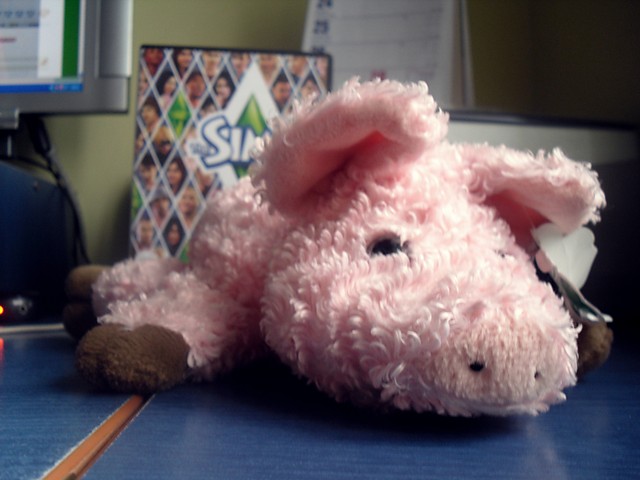 Wpis bublex3
