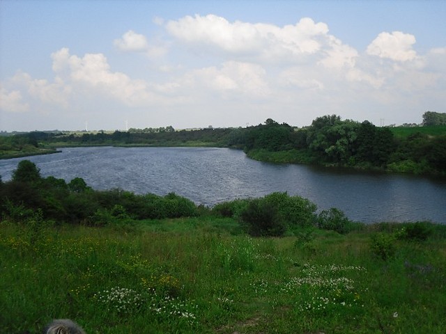 Malicz