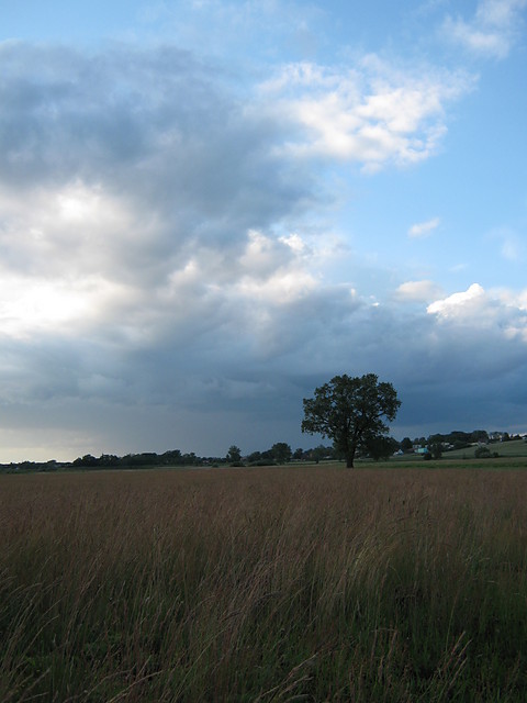 12.06.2009 . foto4