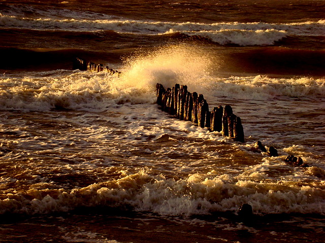 Koobrzeg 2009