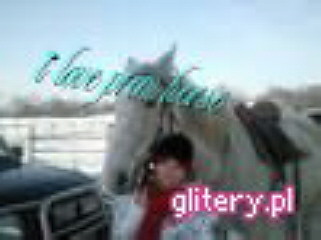 I Love Prom Horse