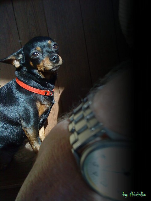 Lusia ;*;*;* < 3
