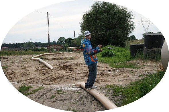 Wpis laskowik