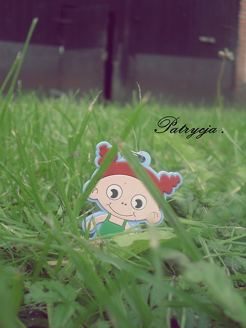 Wpis bublex3