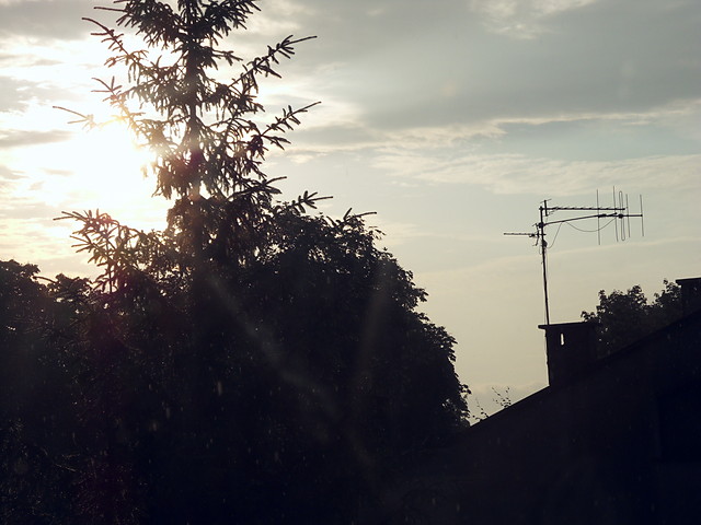 Wpis starkatka