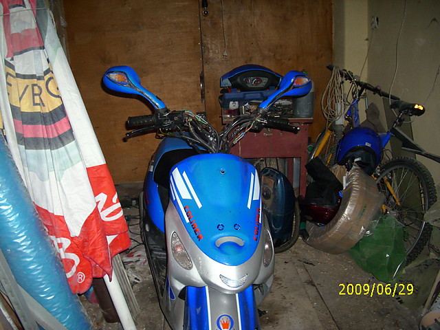 Coliber
