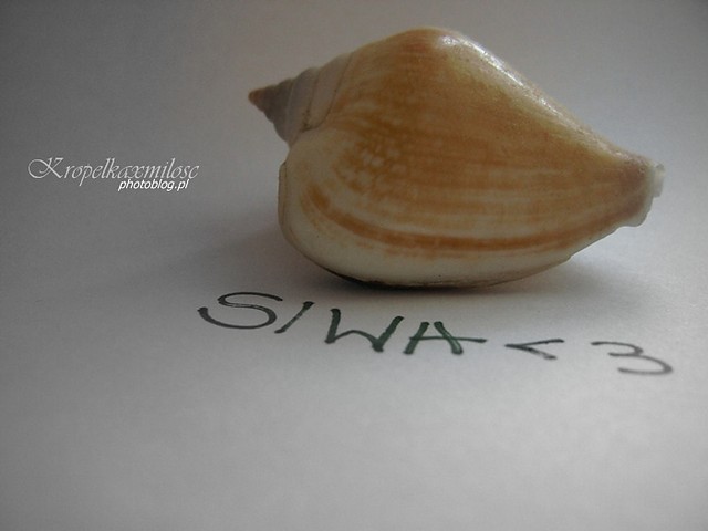 Wpis kropelkaxmilosc
