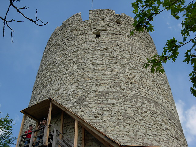 Wieza