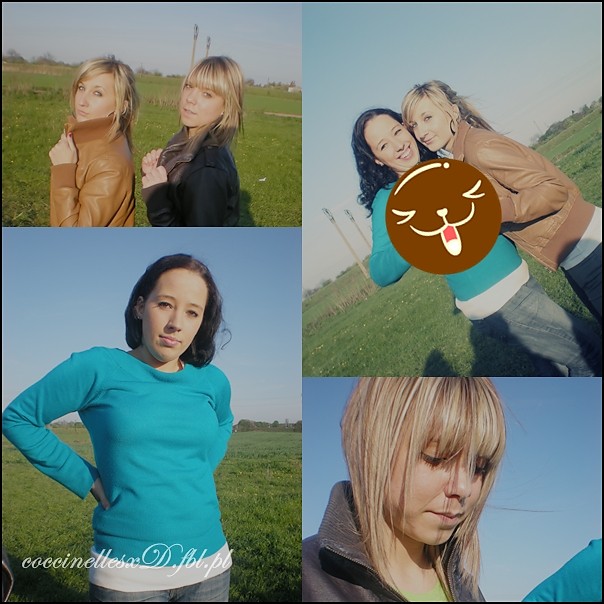 Wpis coccinellesxd