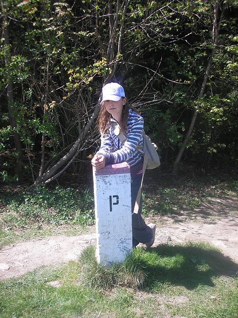 Wpis wiktoria123456789