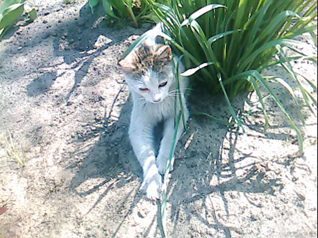 maniu ^^