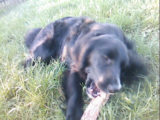 deki^^