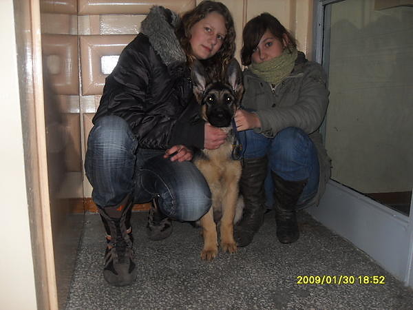 Wpis juszczakowa94