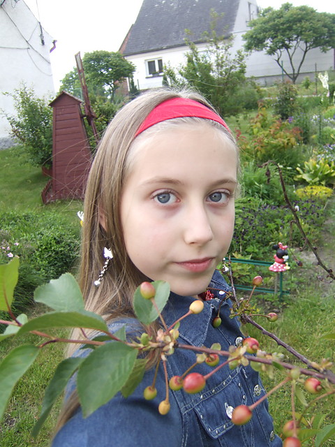 wisienki