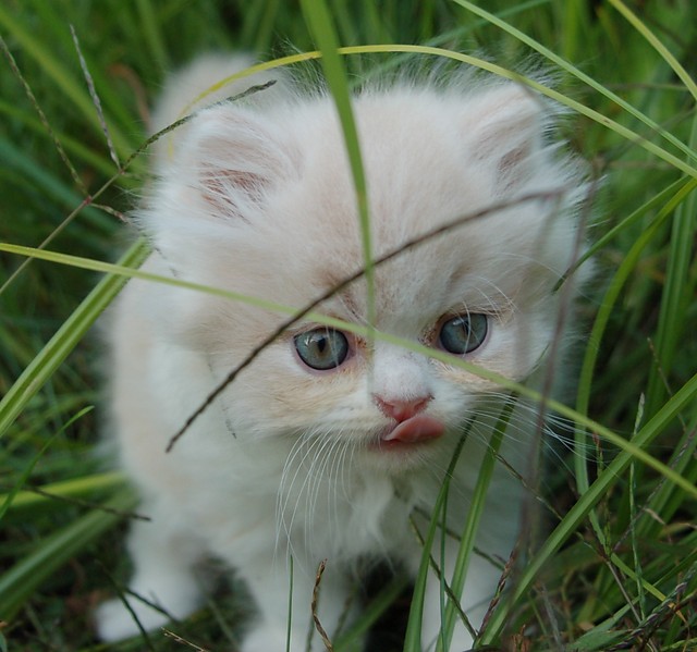 < 3