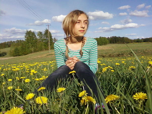 Wrd pierwszych kwiatw wiosny.