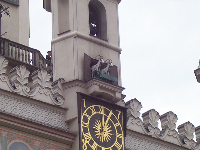Wpis kiniusiag1997