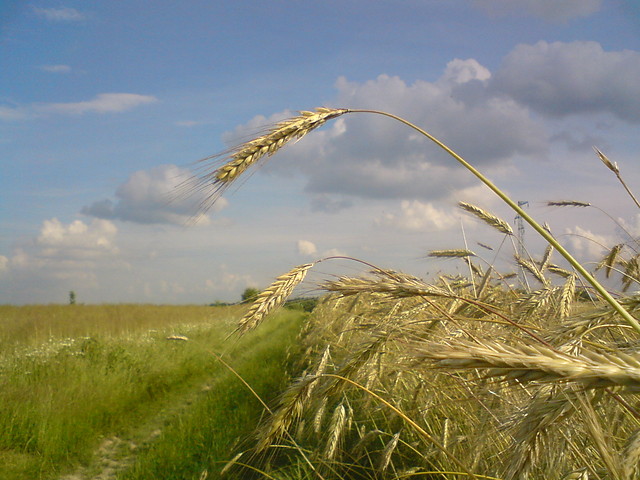 tylko tam.