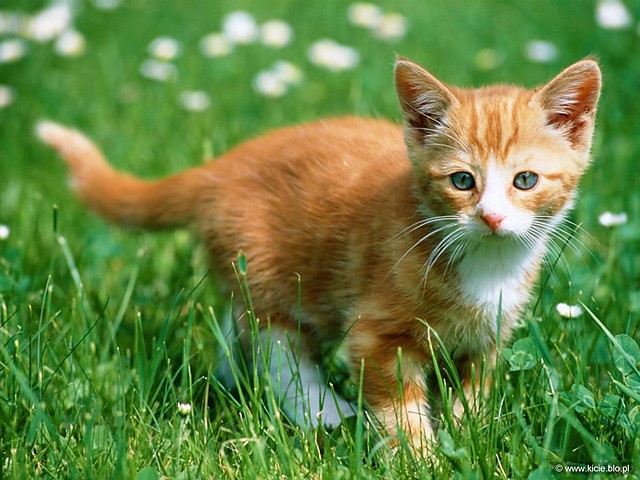 Takie tam...