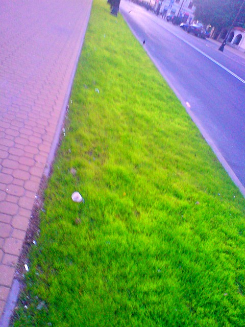 graass