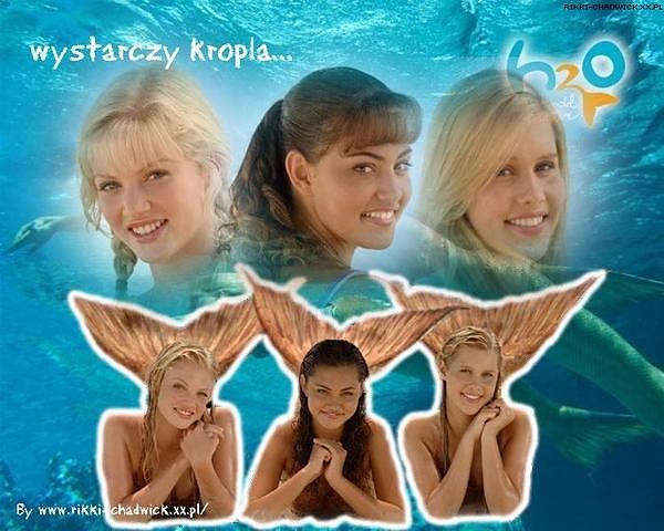 Wpis arafaciary2